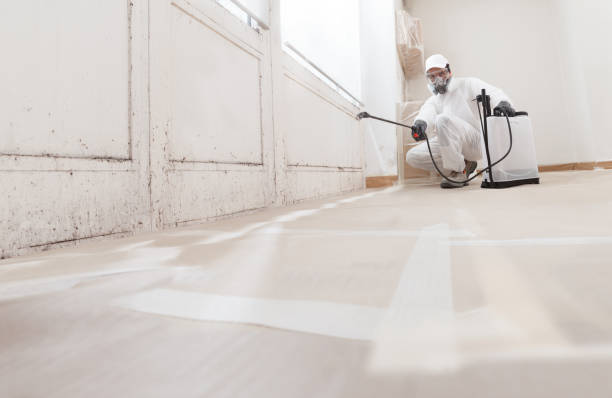 24/7 Emergency Attic Mold Removal experts in Lincoln, IL